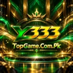 Y333 Game app